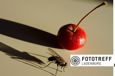 Einladungskarte  hinten